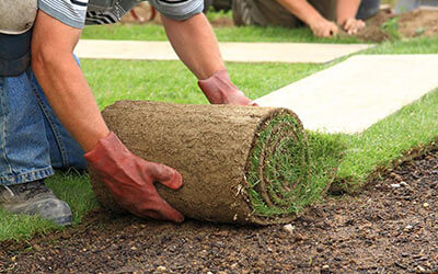 Our Skilled Landscapers Will Beautify Your Lawns and Gardens 